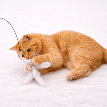 KittyPlay - Jouet interactif pour chat